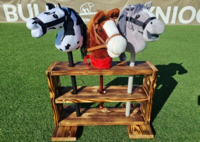 Hobby Horse Arena
