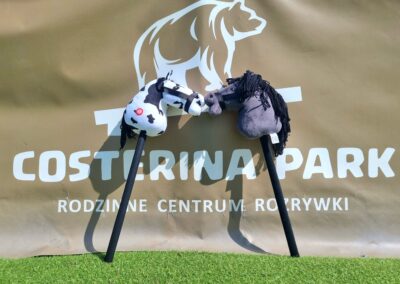 Hobby Horse Arena