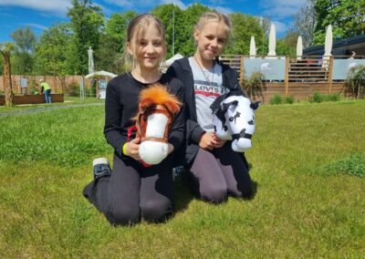 Hobby Horse Arena