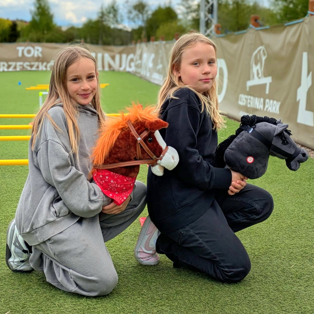 Hobby Horse Arena